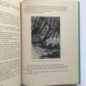 Tajuplný ostrov, Jules Verne