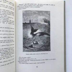 Patnáctiletý kapitán, Jules Verne