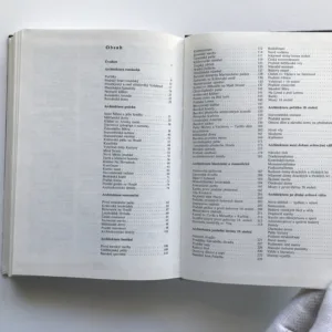 Pražská architektura (Významné stavby jedenácti století), Jaroslava Staňková, Jiří Štursa, Svatopluk Voděra, Jaroslav Staněk