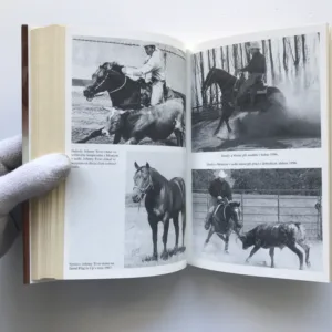 Muž, který naslouchá koním, Monty Roberts