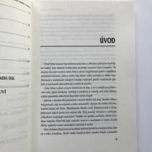 Noc, kdy zemřel Hamburk, Martin Caidin