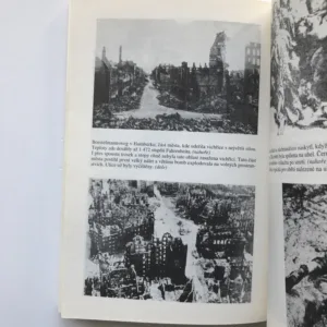 Noc, kdy zemřel Hamburk, Martin Caidin