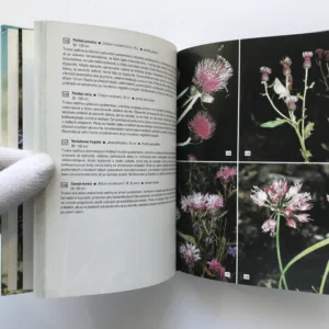 Kvety Tatier, J. Mihál, R. Šoltés, A. Šoltésová