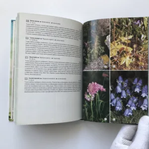 Kvety Tatier, J. Mihál, R. Šoltés, A. Šoltésová