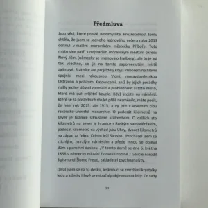 Osudové setkání 1913, Ladislav Větvička