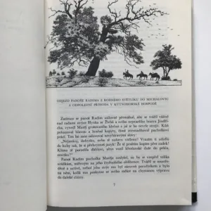 Rytířská jízda Jana z Michalovic, Alexej Pludek