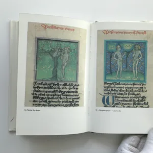 Smích a pláč středověku