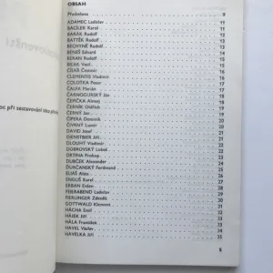 Českoslovenští politici 1918-1991 (Stručné životopisy), Martin Hodný