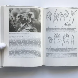 Výlet do třetihor, Zdeněk Veselovský