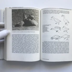 Výlet do třetihor, Zdeněk Veselovský