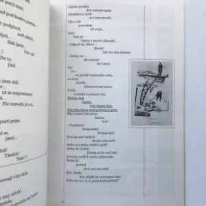 O tom, Vladimír Majakovskij, Alexandr Rodčenko