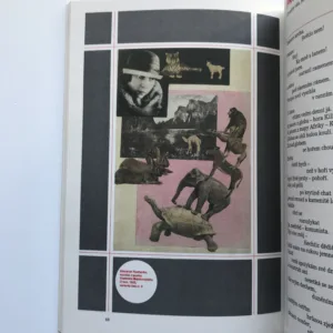 O tom, Vladimír Majakovskij, Alexandr Rodčenko