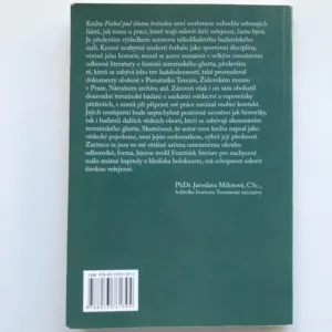 Fotbal pod žlutou hvězdou, František Steiner