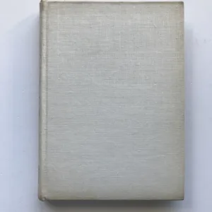 Fenomenologie a problém intersubjektivity, Antonín Mokrejš