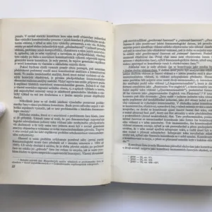 Fenomenologie a problém intersubjektivity, Antonín Mokrejš