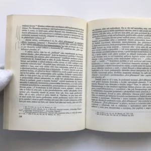 Fenomenologie a problém intersubjektivity, Antonín Mokrejš