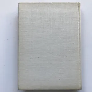 Fenomenologie a problém intersubjektivity, Antonín Mokrejš