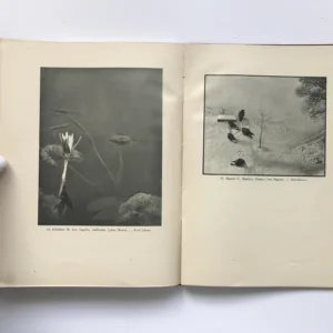 Umělecká fotografie a její tvorba, Rudolf Paďouk