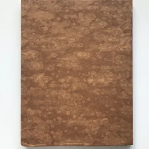 Umělecká fotografie a její tvorba, Rudolf Paďouk