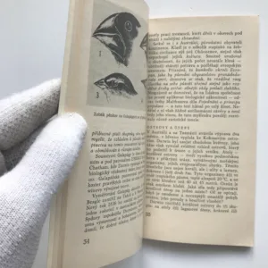 Charles Darwin, Renáta Knotová, Richard Knot