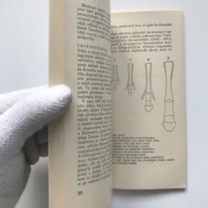 Charles Darwin, Renáta Knotová, Richard Knot