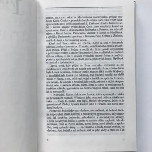 Ladění pro dvě struny, Marie Šulcová