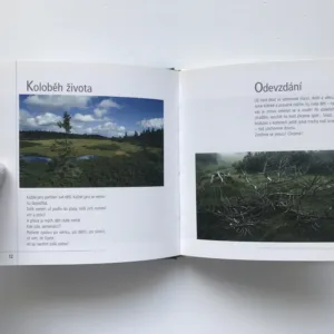 Hlas přírody, Jiří Heller, Vítězslava Klimtová