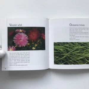 Hlas přírody, Jiří Heller, Vítězslava Klimtová