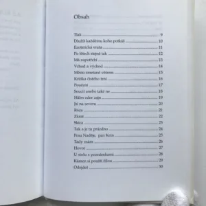 Miláček Arcimboldo, Josef Hrubý