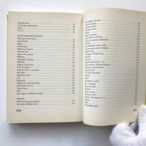 Sám sobě napospas, František Vinant