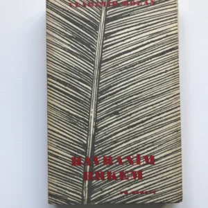 Havraním brkem, Vladimír Holan