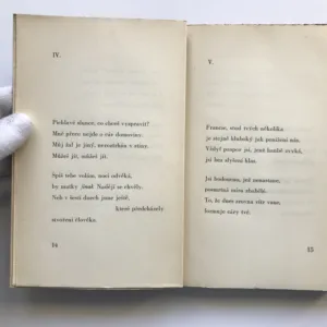 Havraním brkem, Vladimír Holan