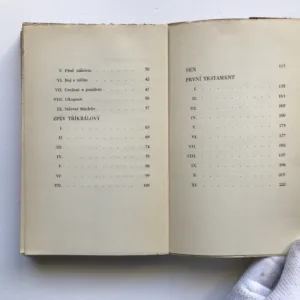 Havraním brkem, Vladimír Holan