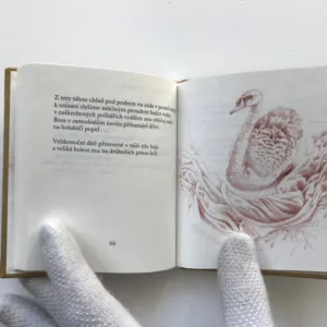 Hebká kůže / Lampa / Dobrý déšť, Petr Skarlant, Josef Hanzlík, Jana Moravcová