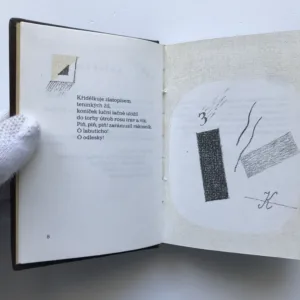 Všem, Velemír Chlebnikov, Viktor Pivovarov