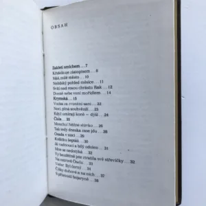 Všem, Velemír Chlebnikov, Viktor Pivovarov