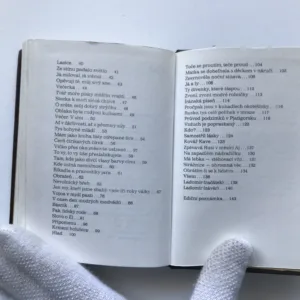 Všem, Velemír Chlebnikov, Viktor Pivovarov