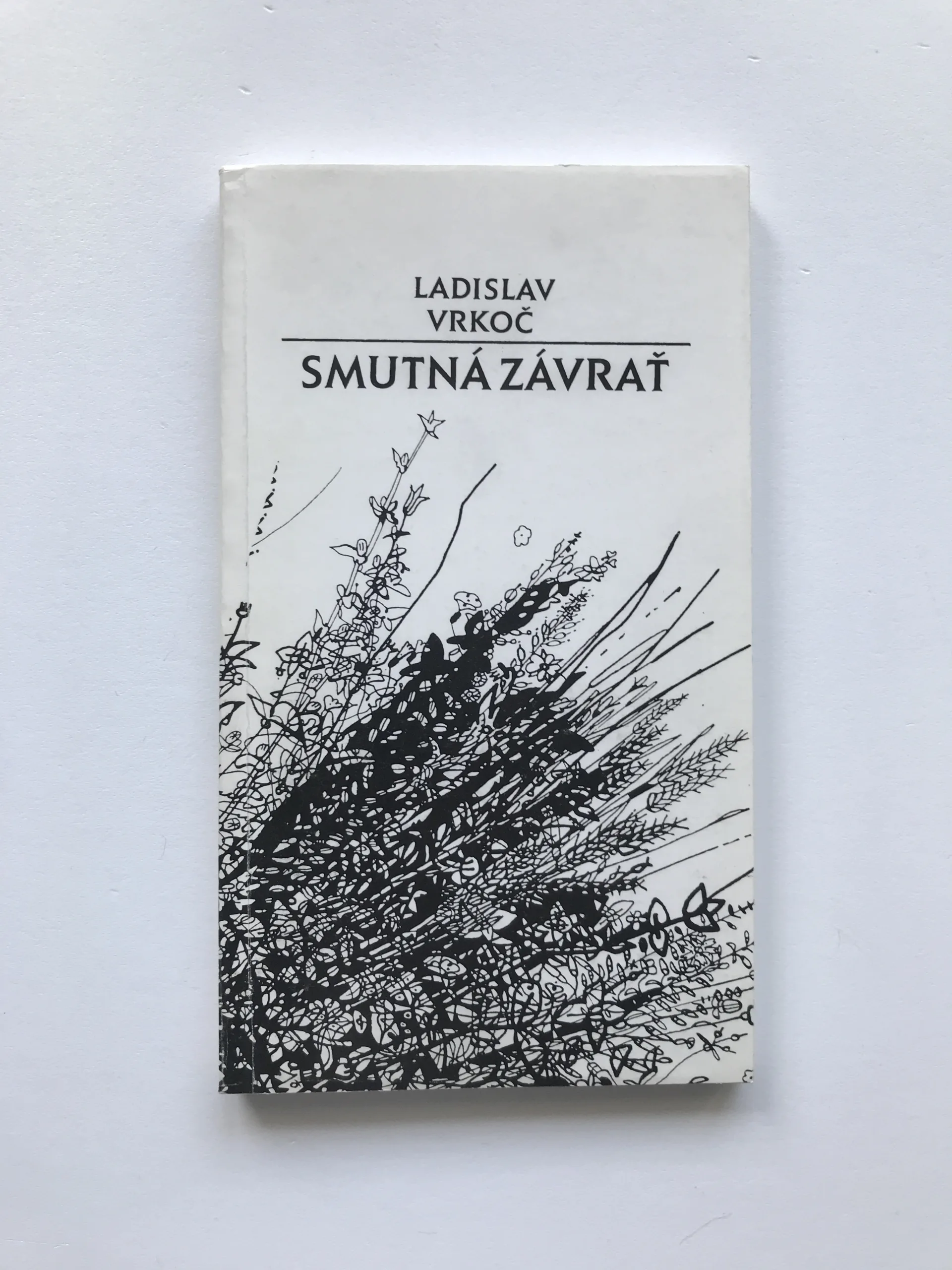 Smutná závrať, Ladislav Vrkoč