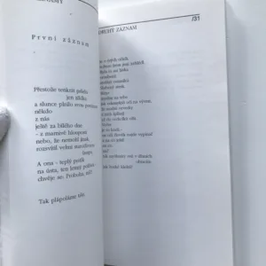 Smutná závrať, Ladislav Vrkoč