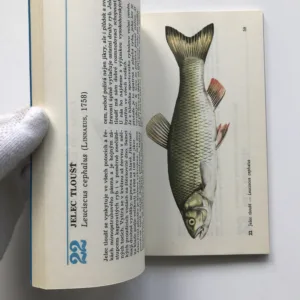 Naše ryby, Josef Mihálik, František Reiser