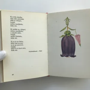 Malované kvítí, Rudolf Lužík, Ludmila Jiřincová