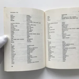 Štatl, Pavel Jelínek–Čiča