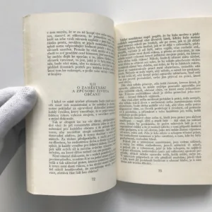 O nejlepším státě, Bernard Bolzano