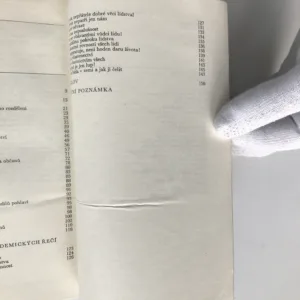 O nejlepším státě, Bernard Bolzano