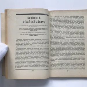 Paměti komorníka císaře Františka Josefa I., Milan Hodík