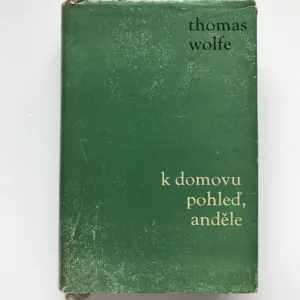 K domovu pohleď, anděle!, Thomas Wolfe