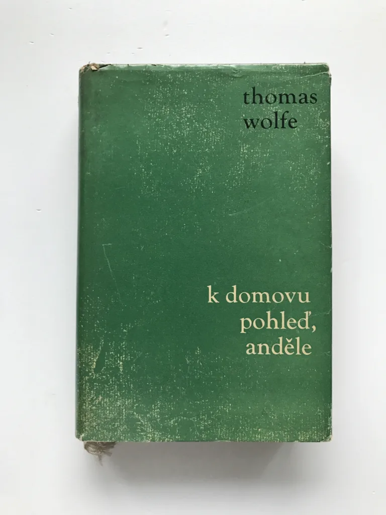 K domovu pohleď, anděle!, Thomas Wolfe