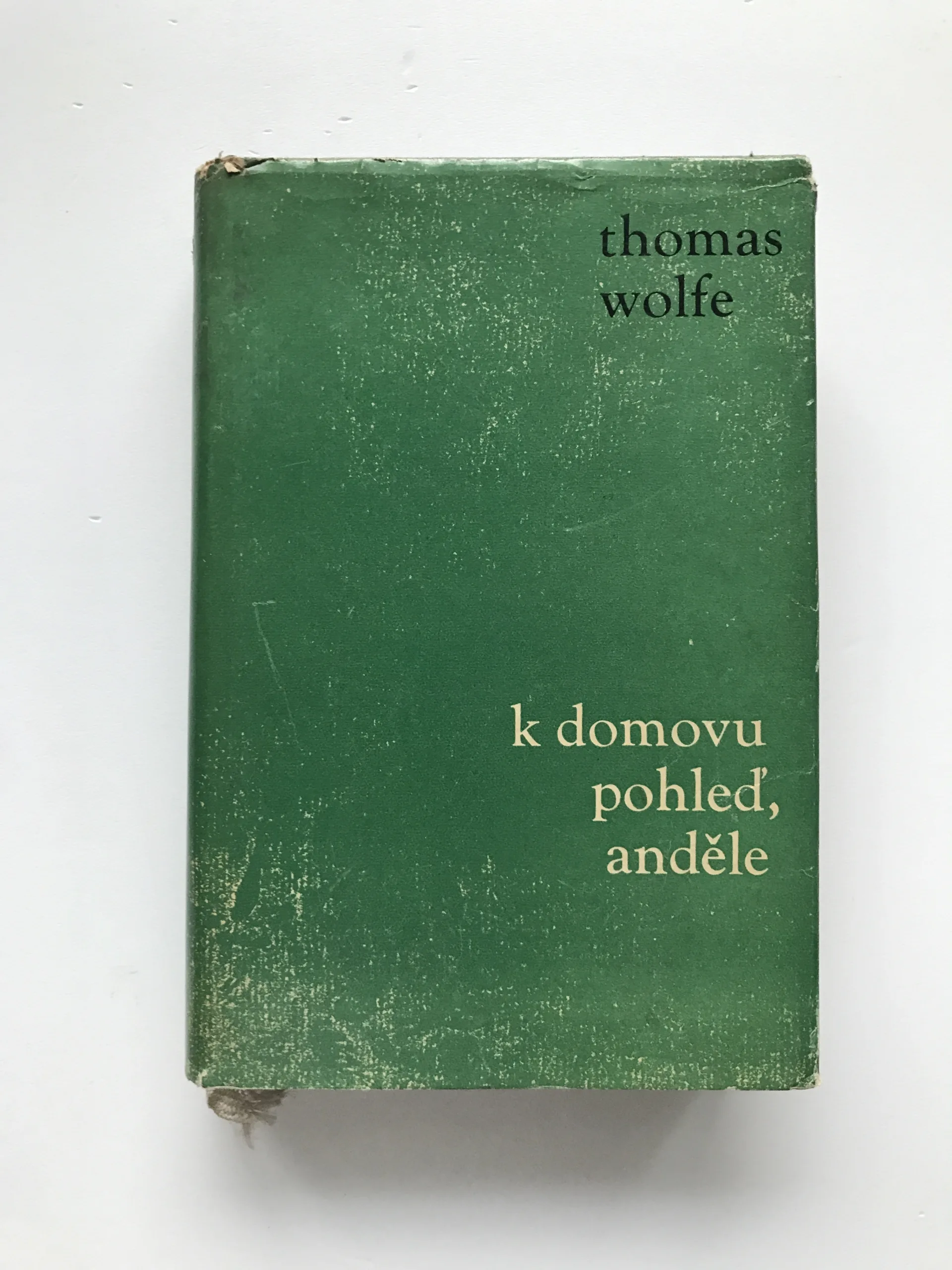K domovu pohleď, anděle!, Thomas Wolfe