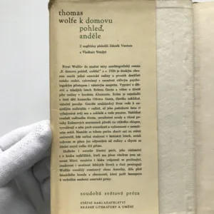K domovu pohleď, anděle!, Thomas Wolfe