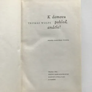 K domovu pohleď, anděle!, Thomas Wolfe